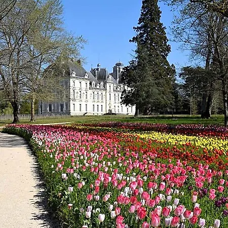 Logis Le Cygne Hotel Le Bugue