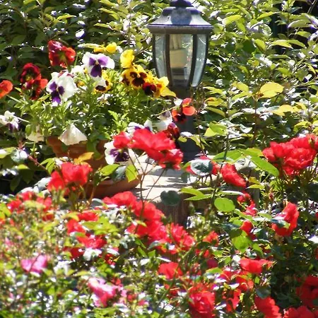 Otel Logis Le Cygne 2*