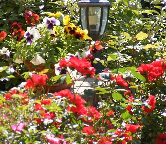 Hotell Logis Le Cygne 2*